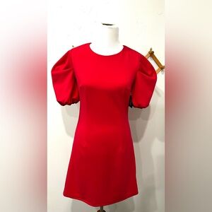 NWT Sage Collective Puff Sleeve dress size 4 in Fuchsia